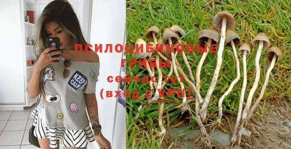 МДПВ Верея