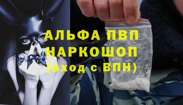 крисы Володарск